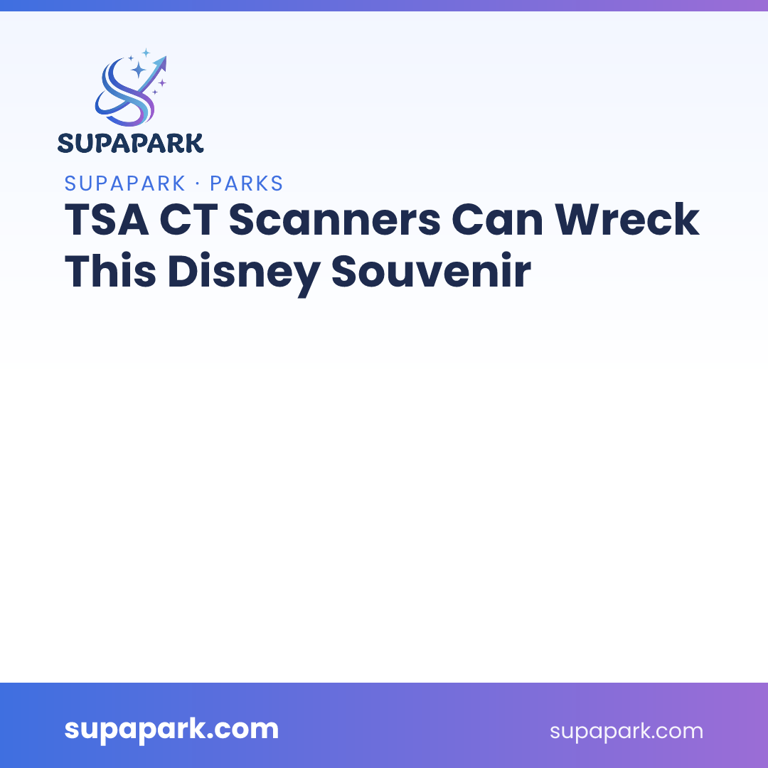 TSA CT Scanners Can Wreck This Disney Souvenir
